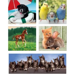 Clementoni Cartes|Animaux|Animal Friends - 1x60 + 2x48 + 4x30 + 3x18 pièces