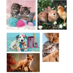 Clementoni Cartes|Animaux|Animal Friends - 1x60 + 2x48 + 4x30 + 3x18 pièces