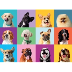 Clementoni Cartes|Animaux|Funny Faces - 300 pièces
