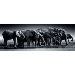Clementoni Football|Vintage|Herd Of Giants - 1000 pièces