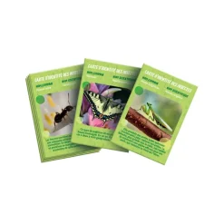 Clementoni Science Classique|La maison des insectes