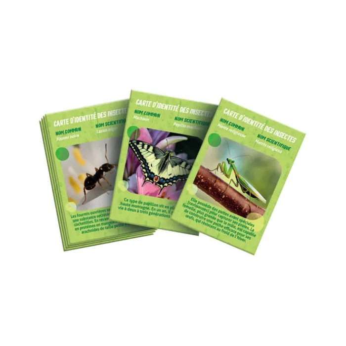 Clementoni Science Classique|La maison des insectes