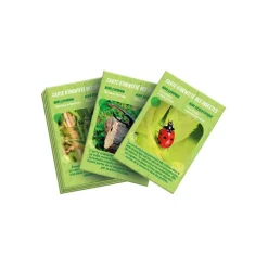 Clementoni Science Classique|La maison des insectes