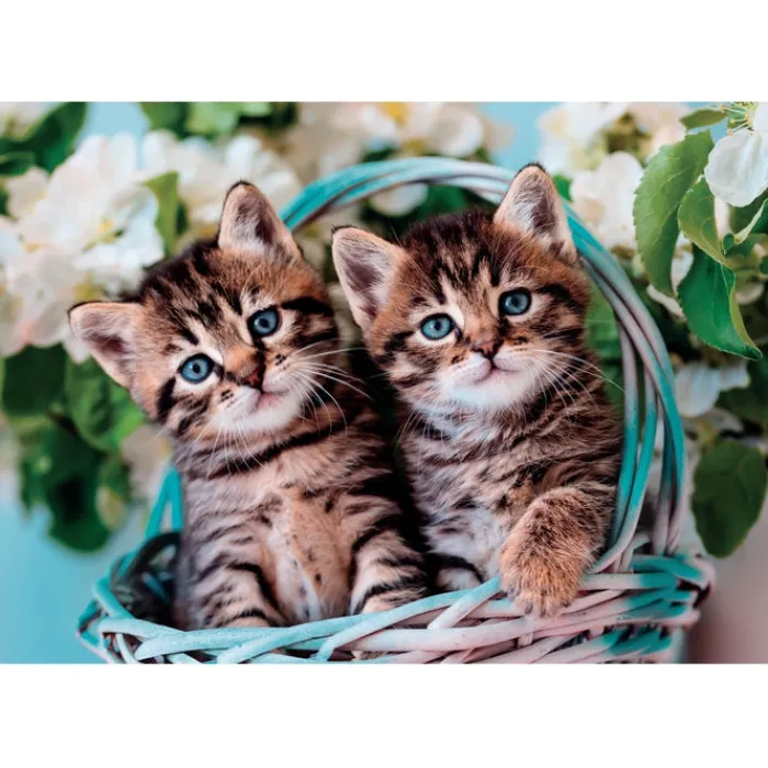 Clementoni Cartes|Animaux|Lovely Kitty Twins - 60 pièces
