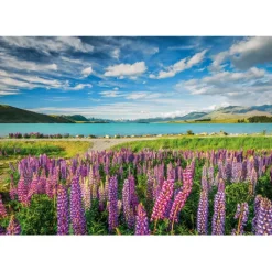 Clementoni Paysages|Football|Lupins At Lake Tekapo - 1500 pièces