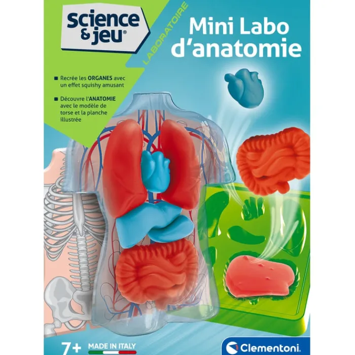 Clementoni Science Classique|Mini Labo d'anatomie