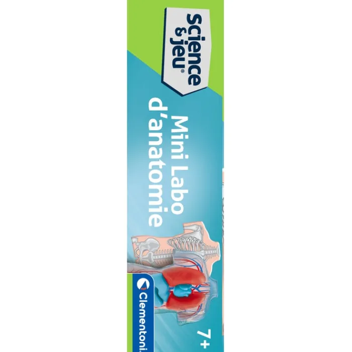 Clementoni Science Classique|Mini Labo d'anatomie