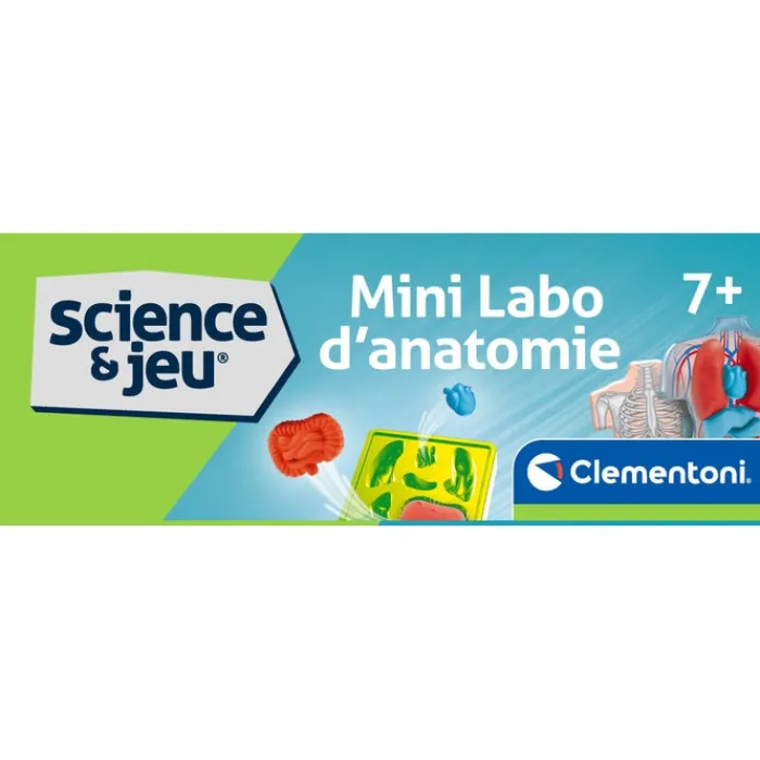 Clementoni Science Classique|Mini Labo d'anatomie