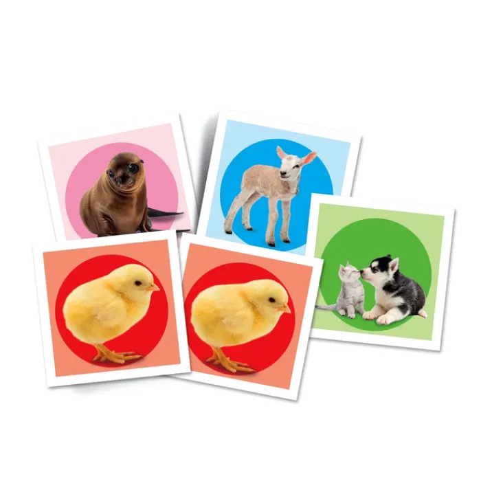 Clementoni Mémo|Mémo - Bébés animaux