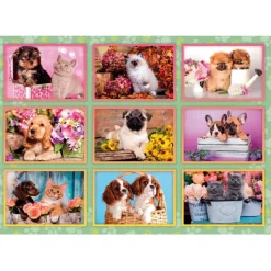 Clementoni Cartes|Animaux|Puppies Collage - 180 pièces